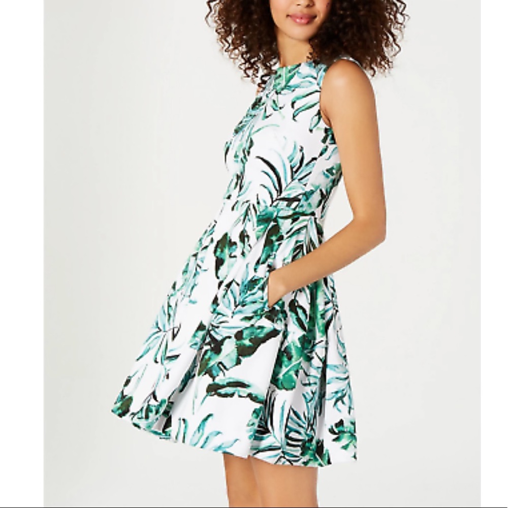 Taylor Fit and Flare Leaf Print Skater Dress